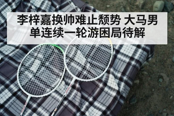 badminton racket closeup